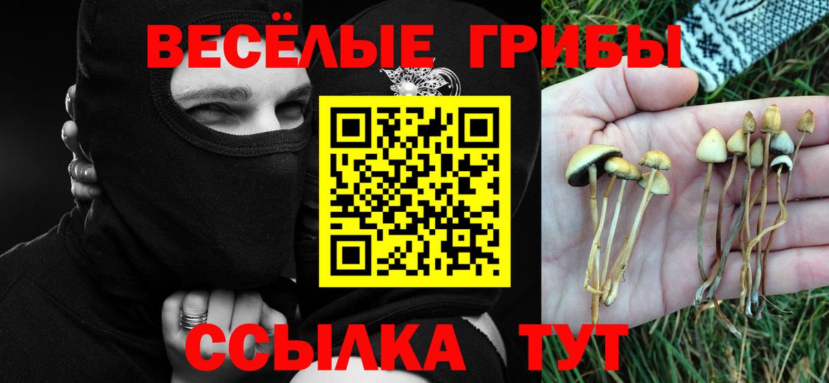 A PVP СК кристаллы  Белогорск  Вход с VPN  Гашиш  Меф кристаллы  Кокаин 