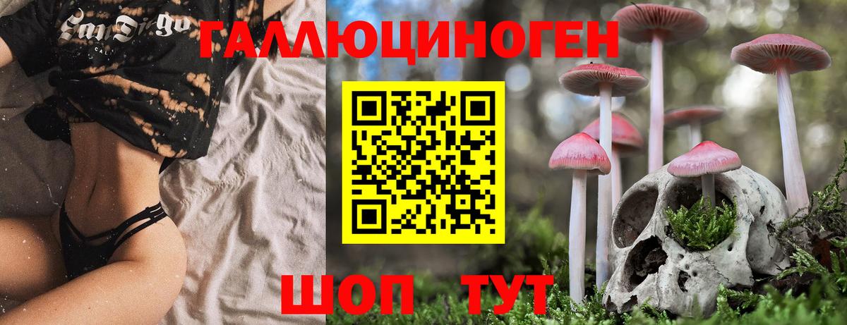 Псилоцибиновые грибы Magic Shrooms  Вход с VPN  Белогорск 